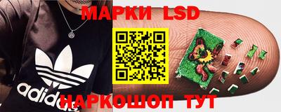 стаф Кимры