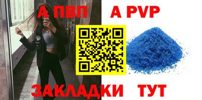 jwh Кингисепп