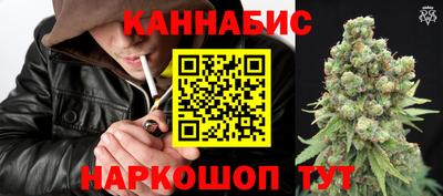стаф Кимры